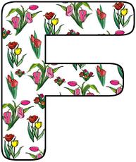 Tulpen-Buchstabe-F.jpg